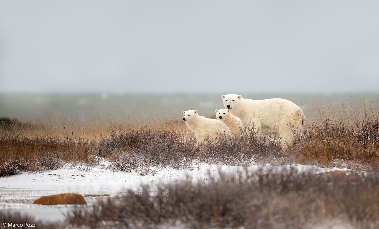 Passeggiata sulla costa