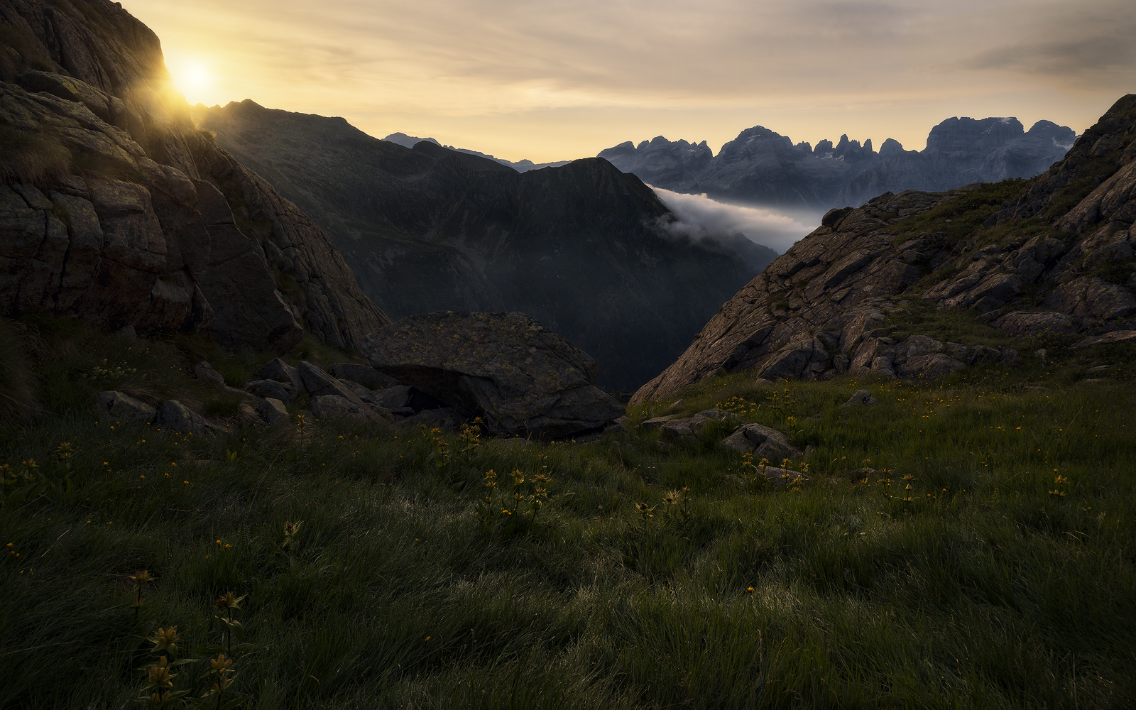 Soft Sun's Show | Entertainment Sun delicate