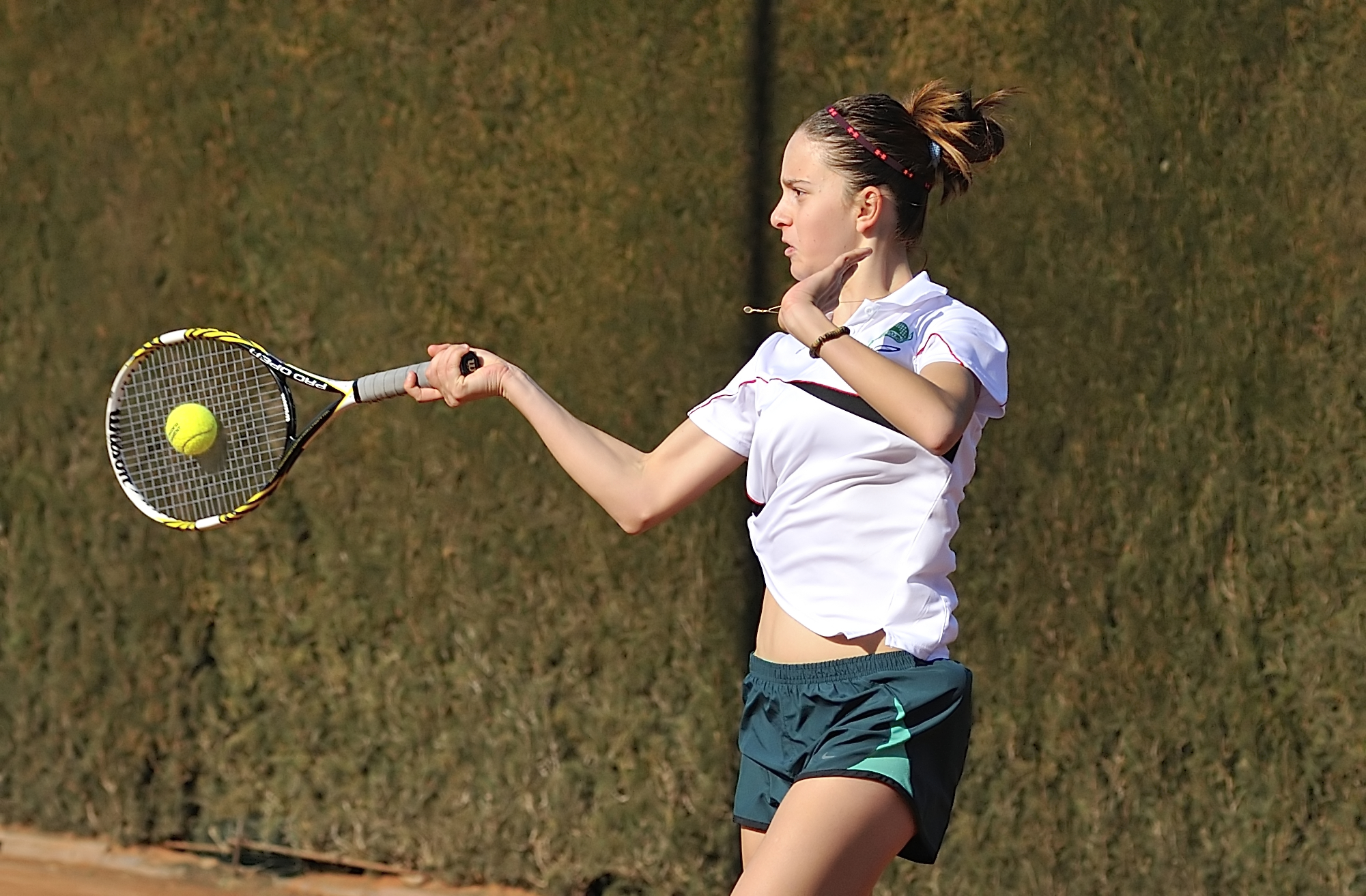 Forehand on the plate ...