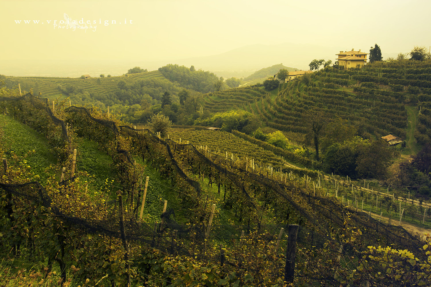 the vineyards of Valdobbiadene