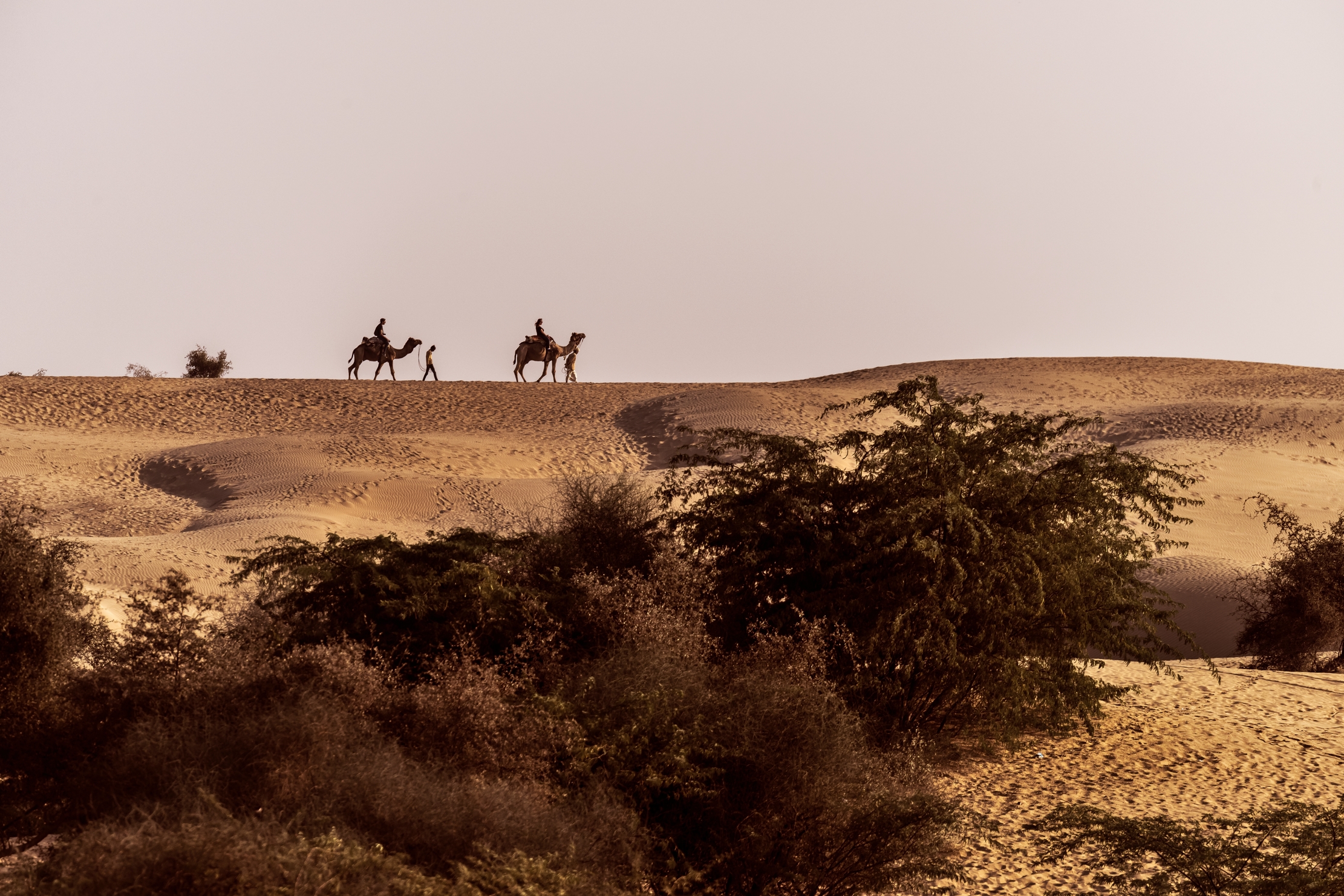 Rajasthan 2017 - Tramonto sul deserto