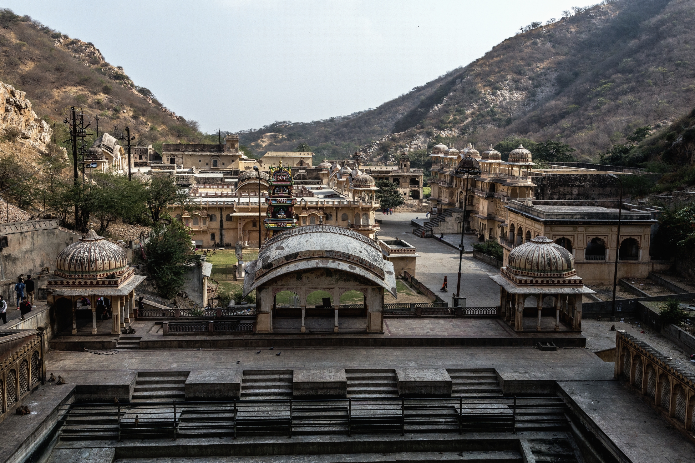 Rajasthan 2017 - Tempio delle scimmie