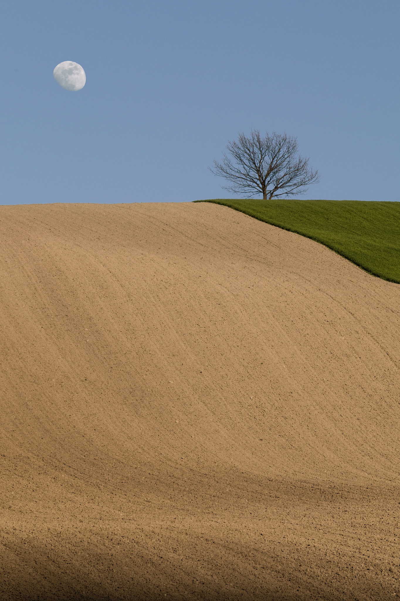 The wait has paid off