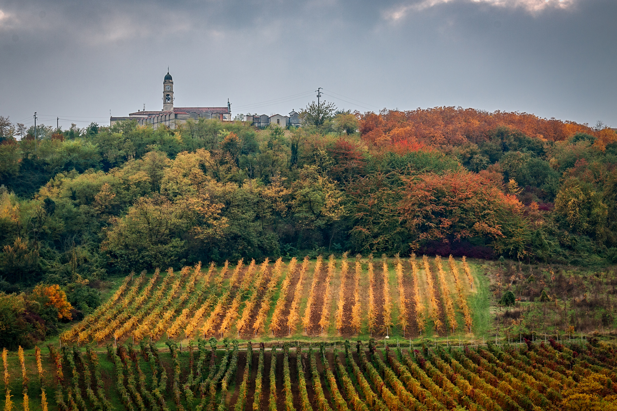 The Oltrepò is colored