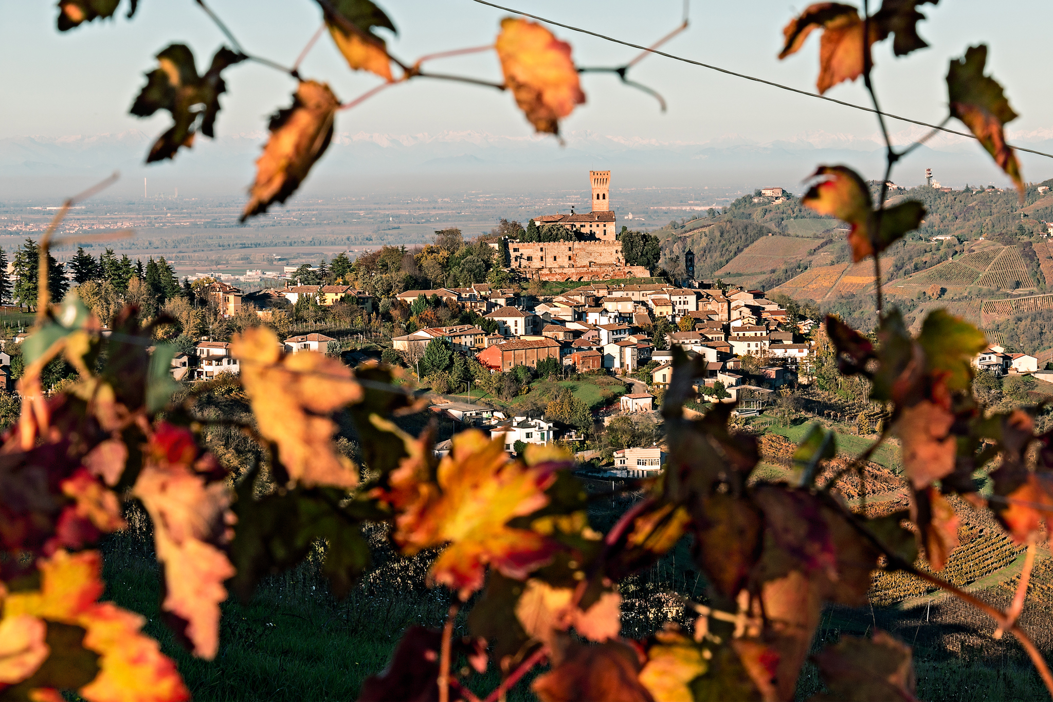 Among the last leaves