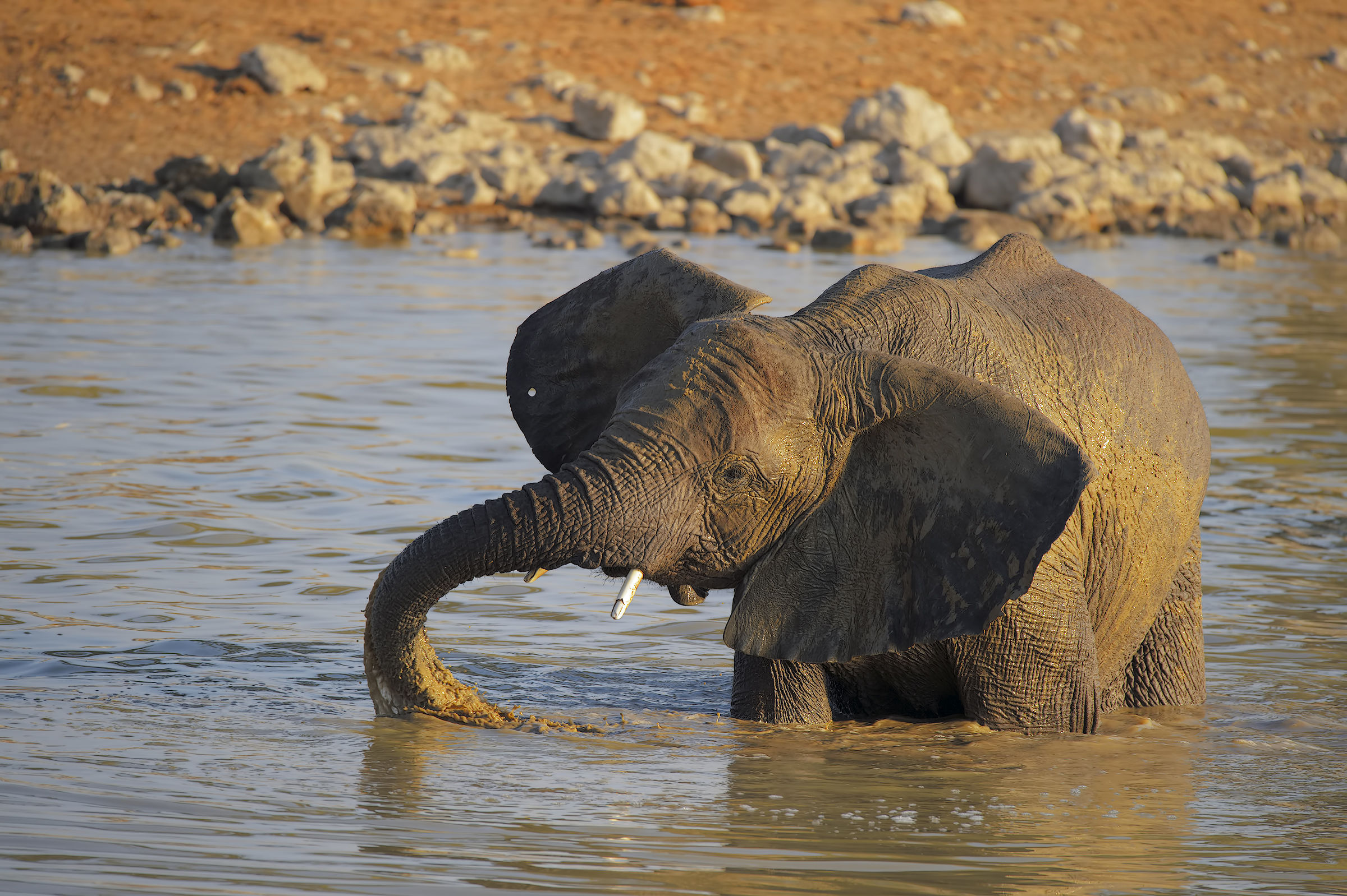 Youth to the bathroom