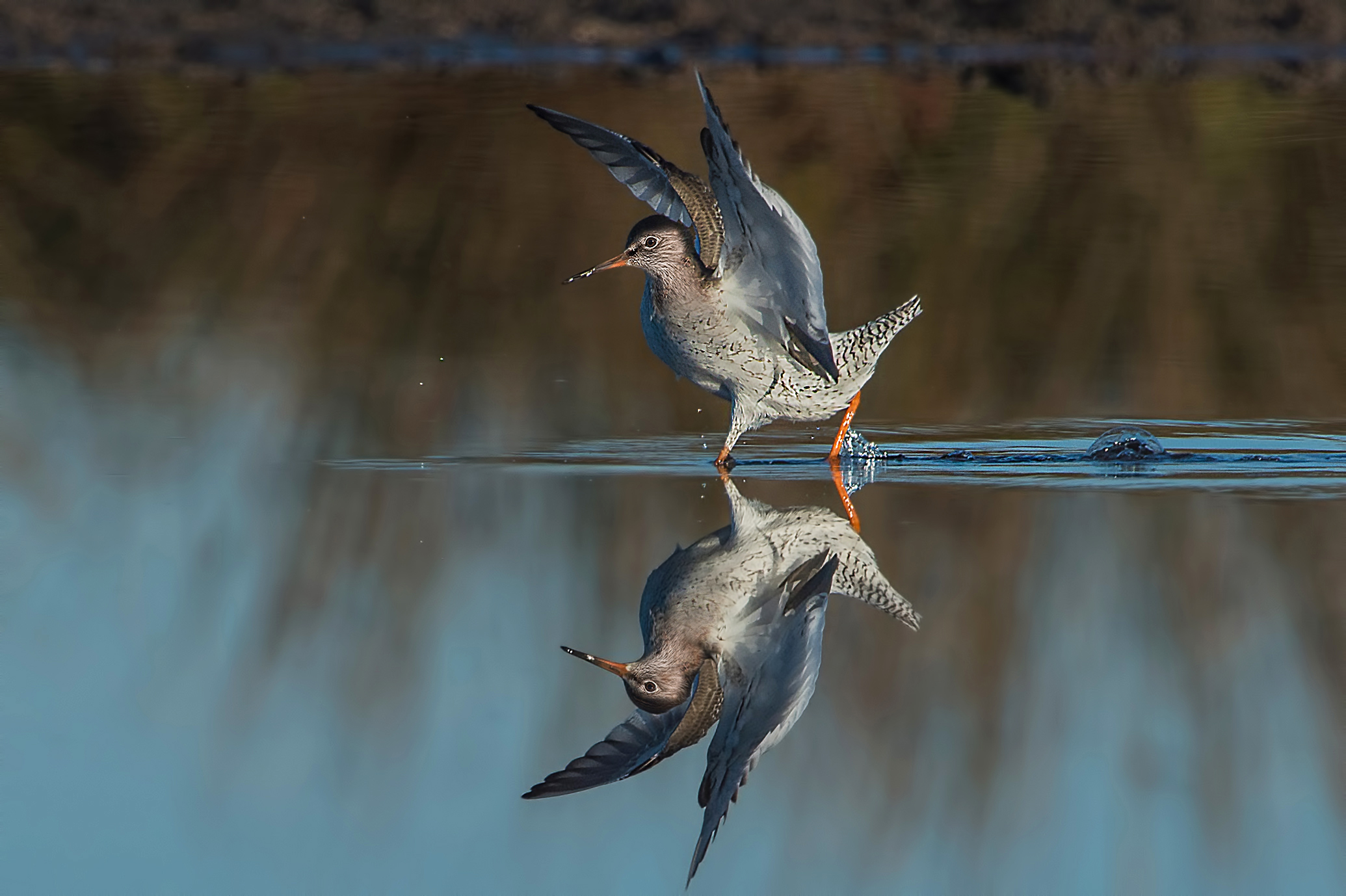 the "mirror of water"