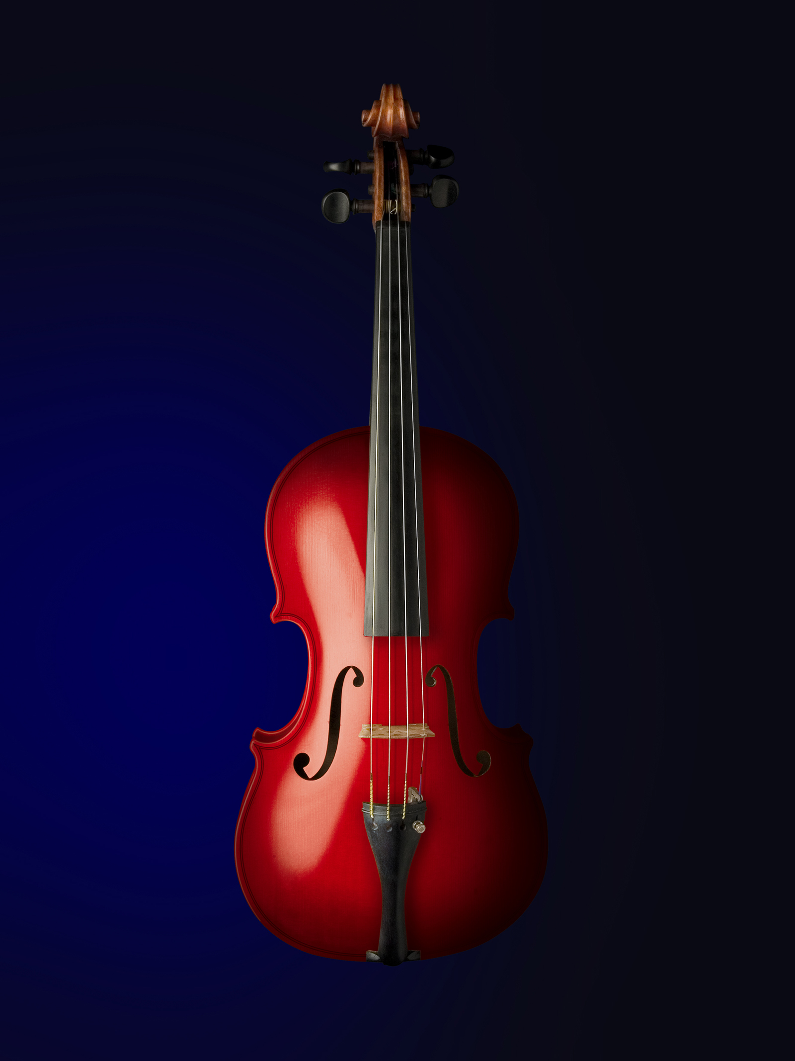 Violin
