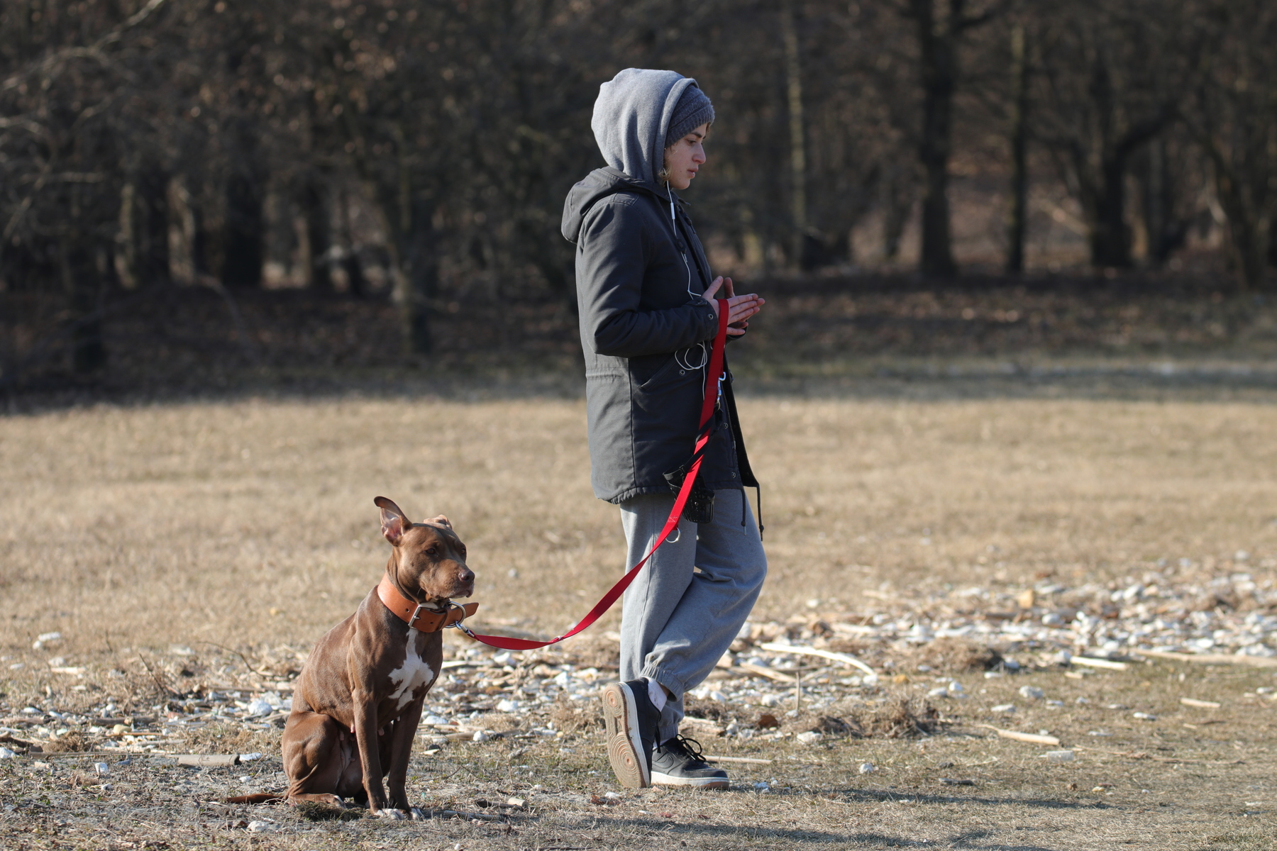 When the dog assists you in your thoughts.