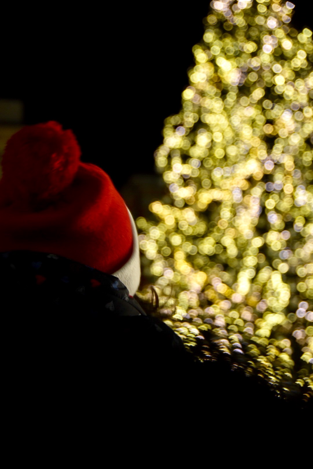 Aspettando il Natale