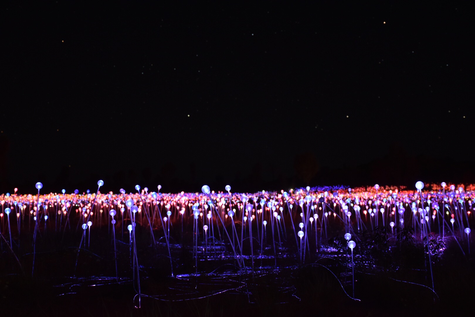 Field of light
