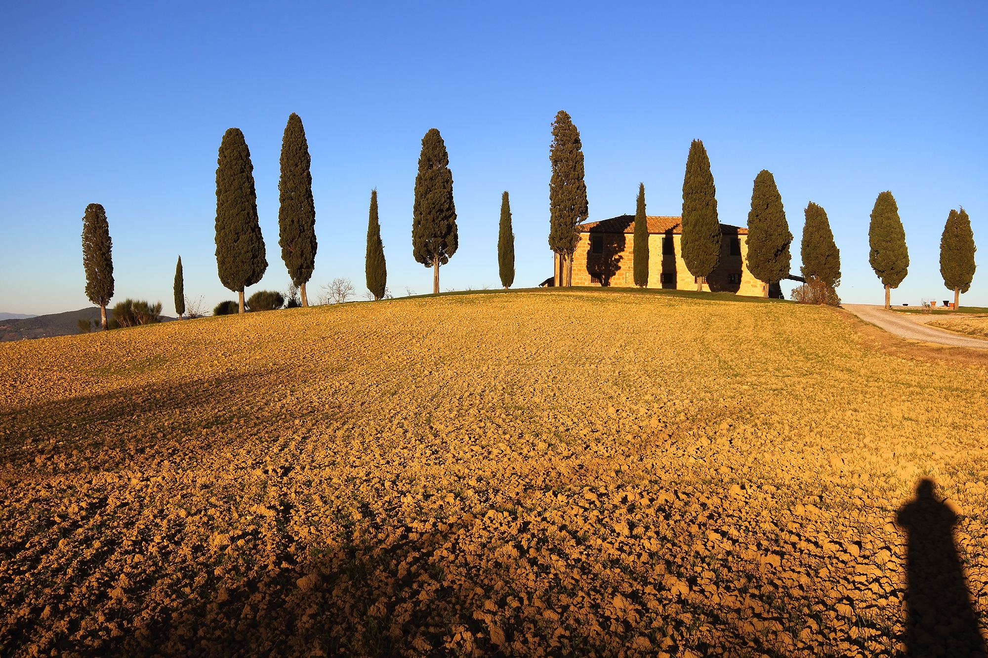 I cipressini e la mia ombra