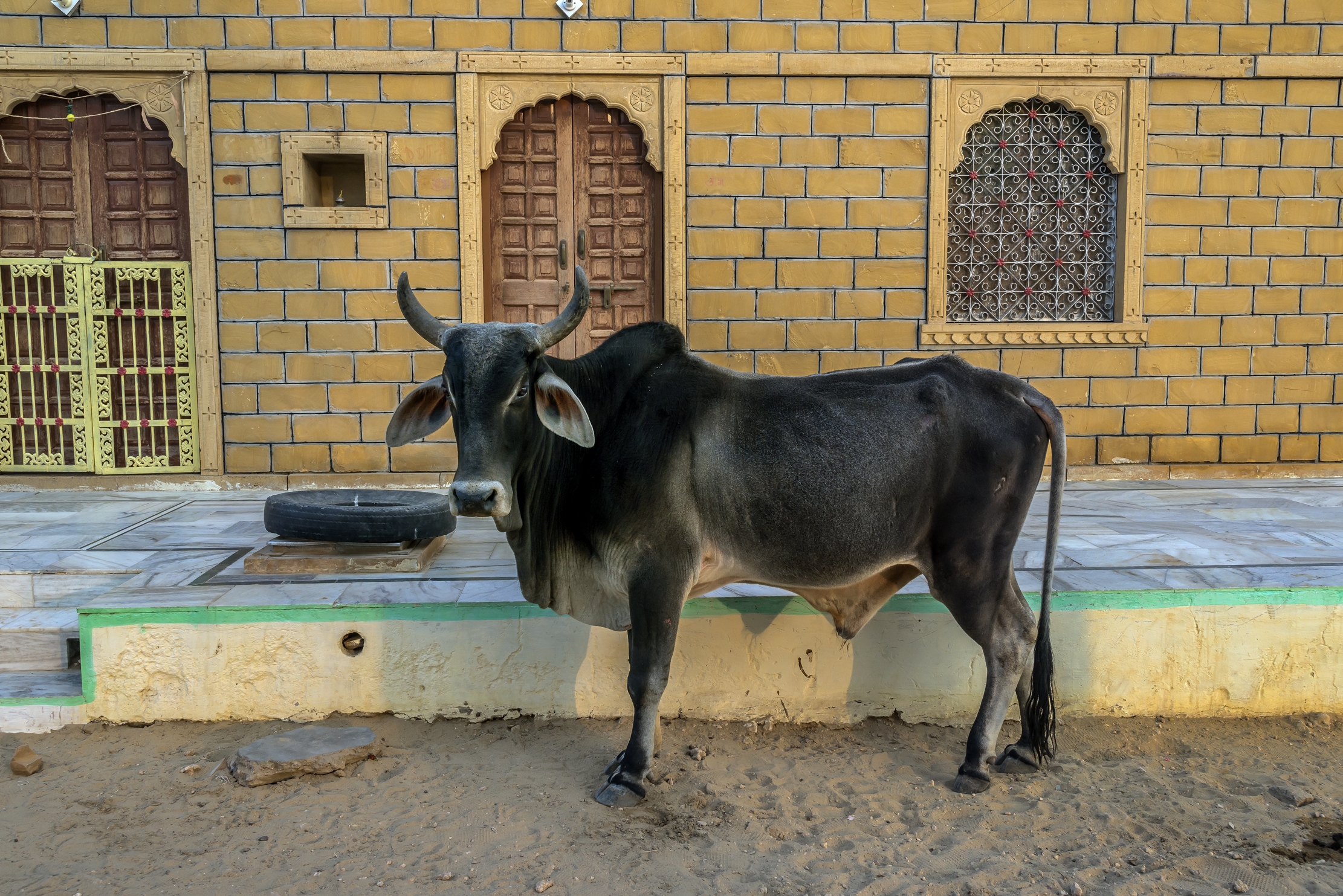 Rajasthan 2017 - In un villaggio
