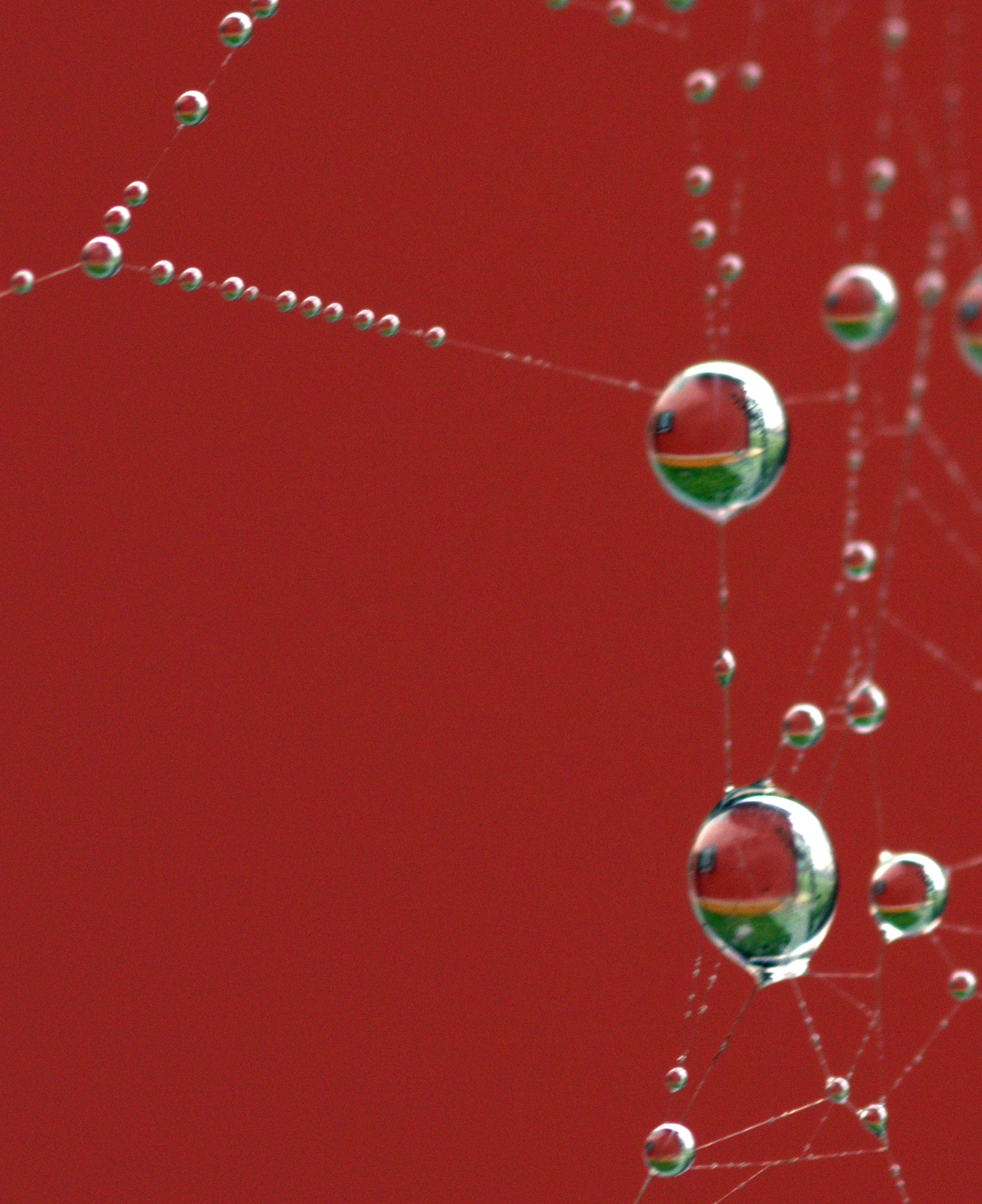 small house in the dewdrop