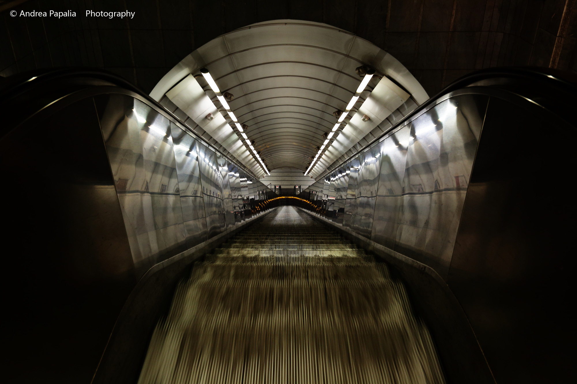 Fluid and vertiginous