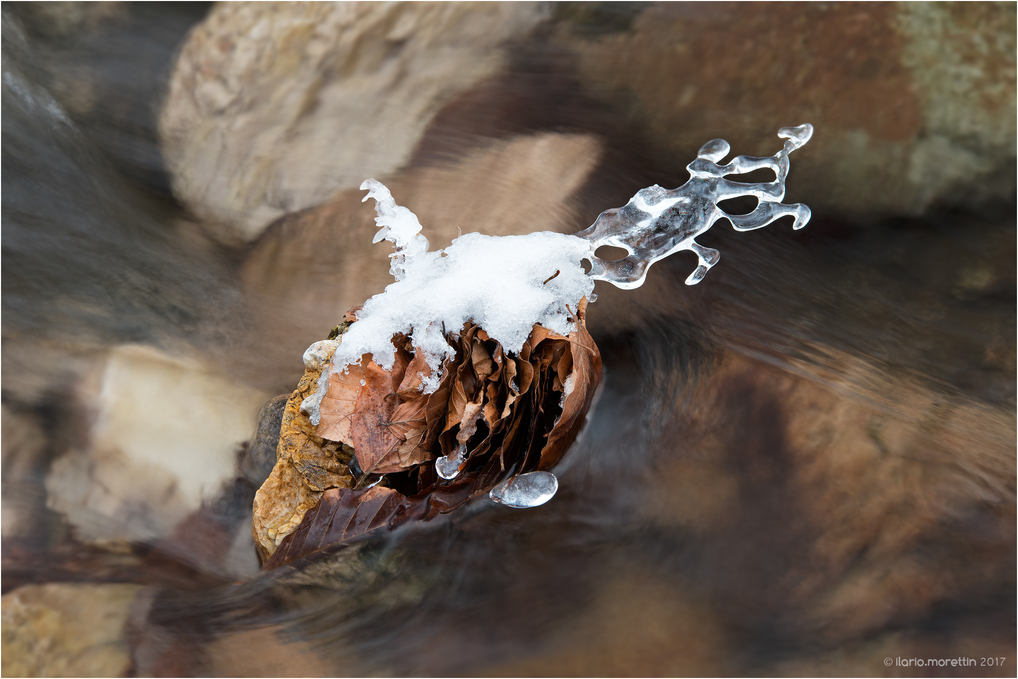 Piccola poesia nella corrente