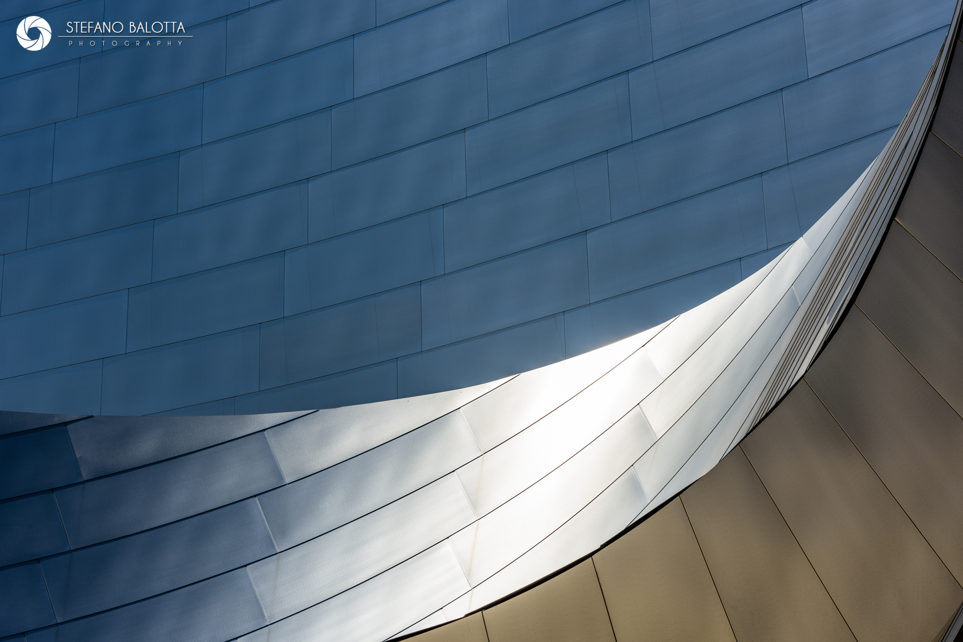 Metallic Curves