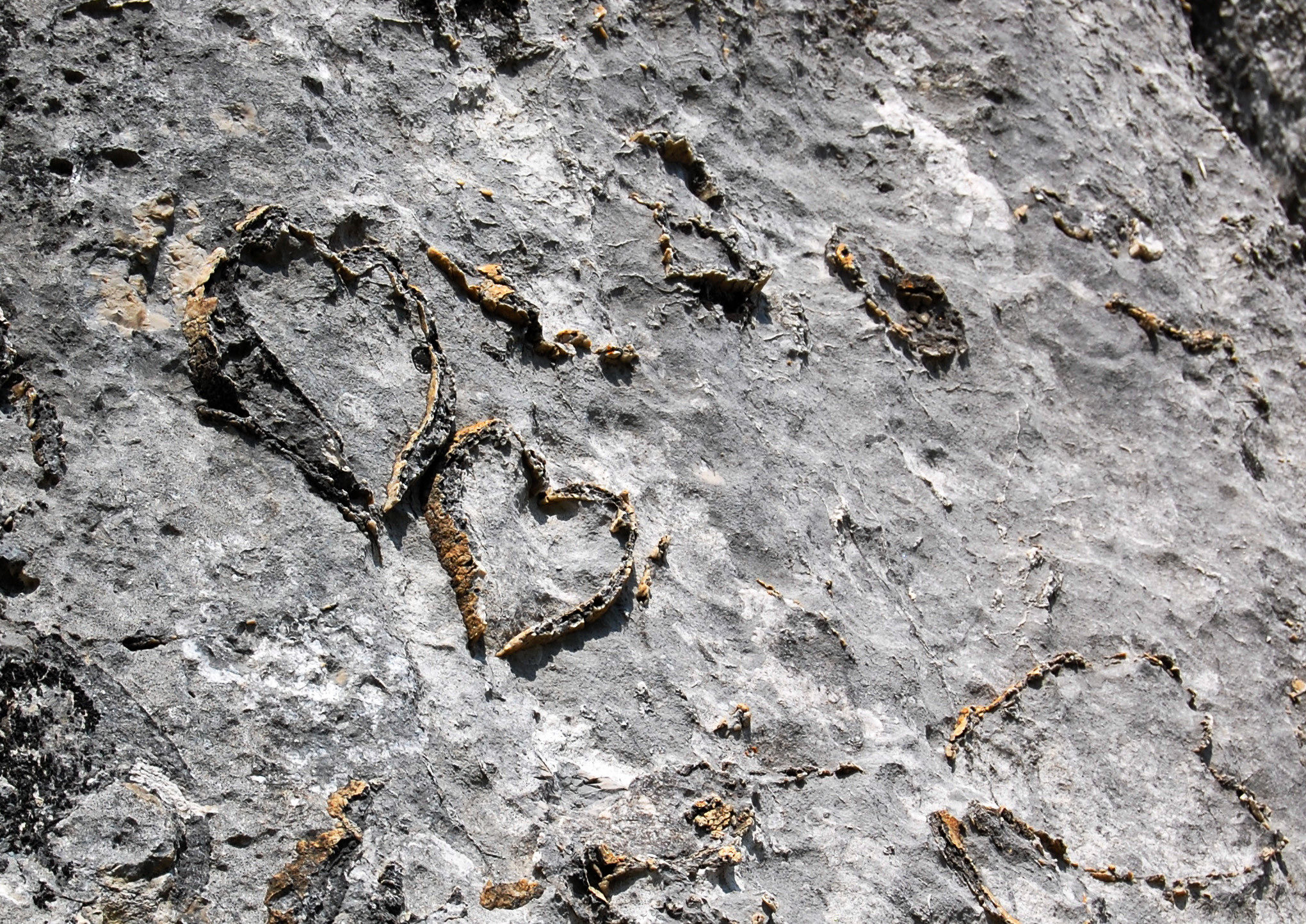Monte Cornizzolo: ancient and eternal sign of love