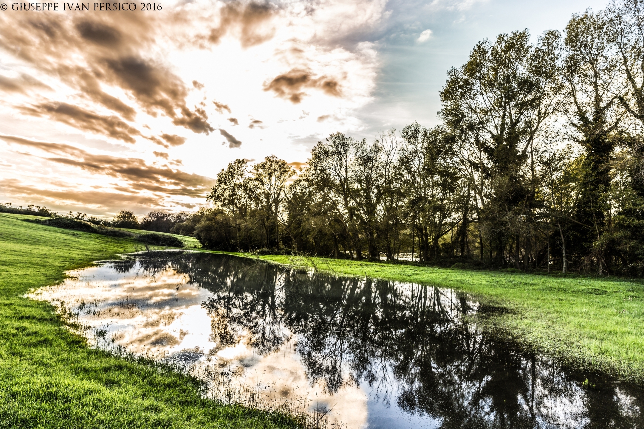Oasis of Persano WWF