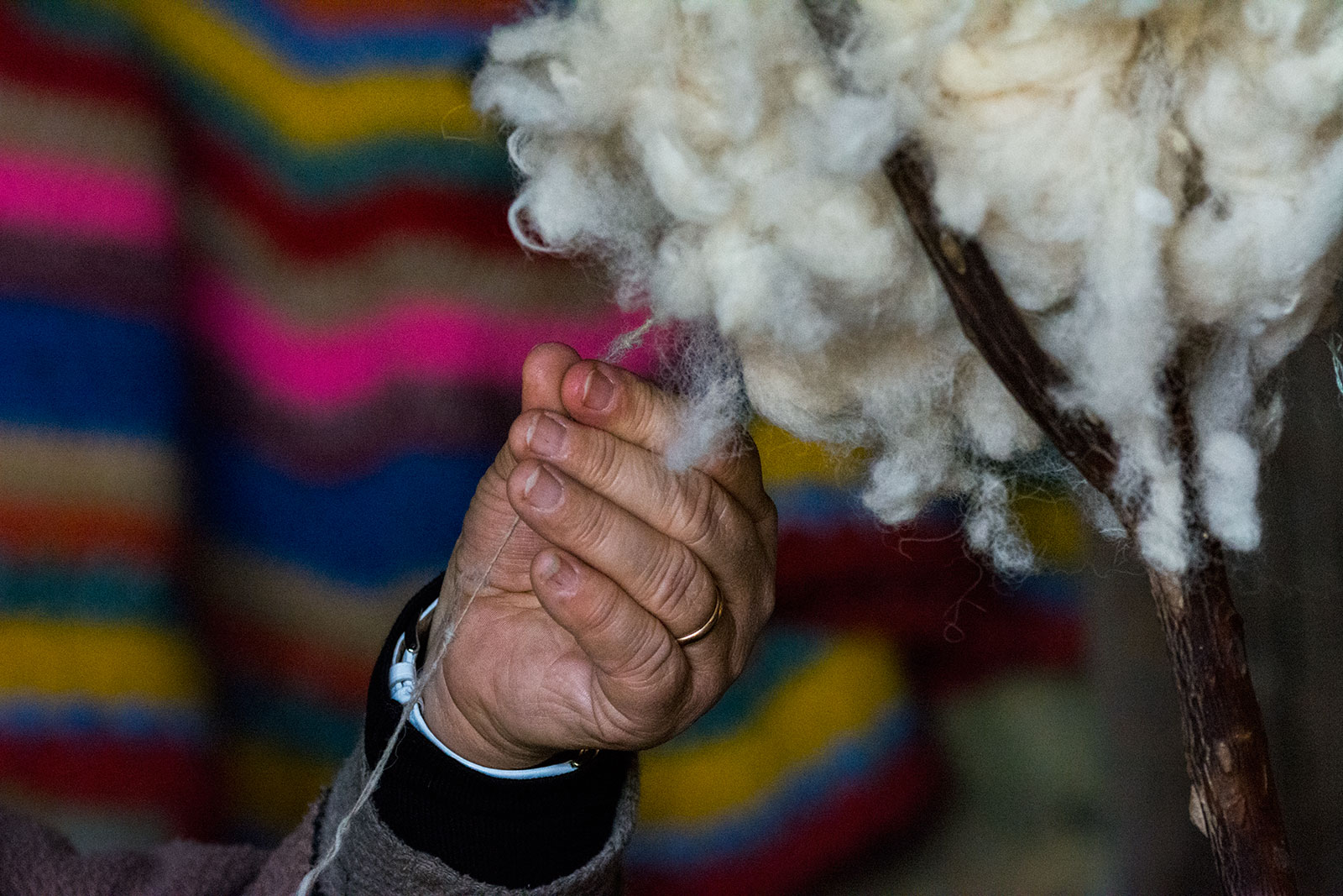 La filatrice di lana