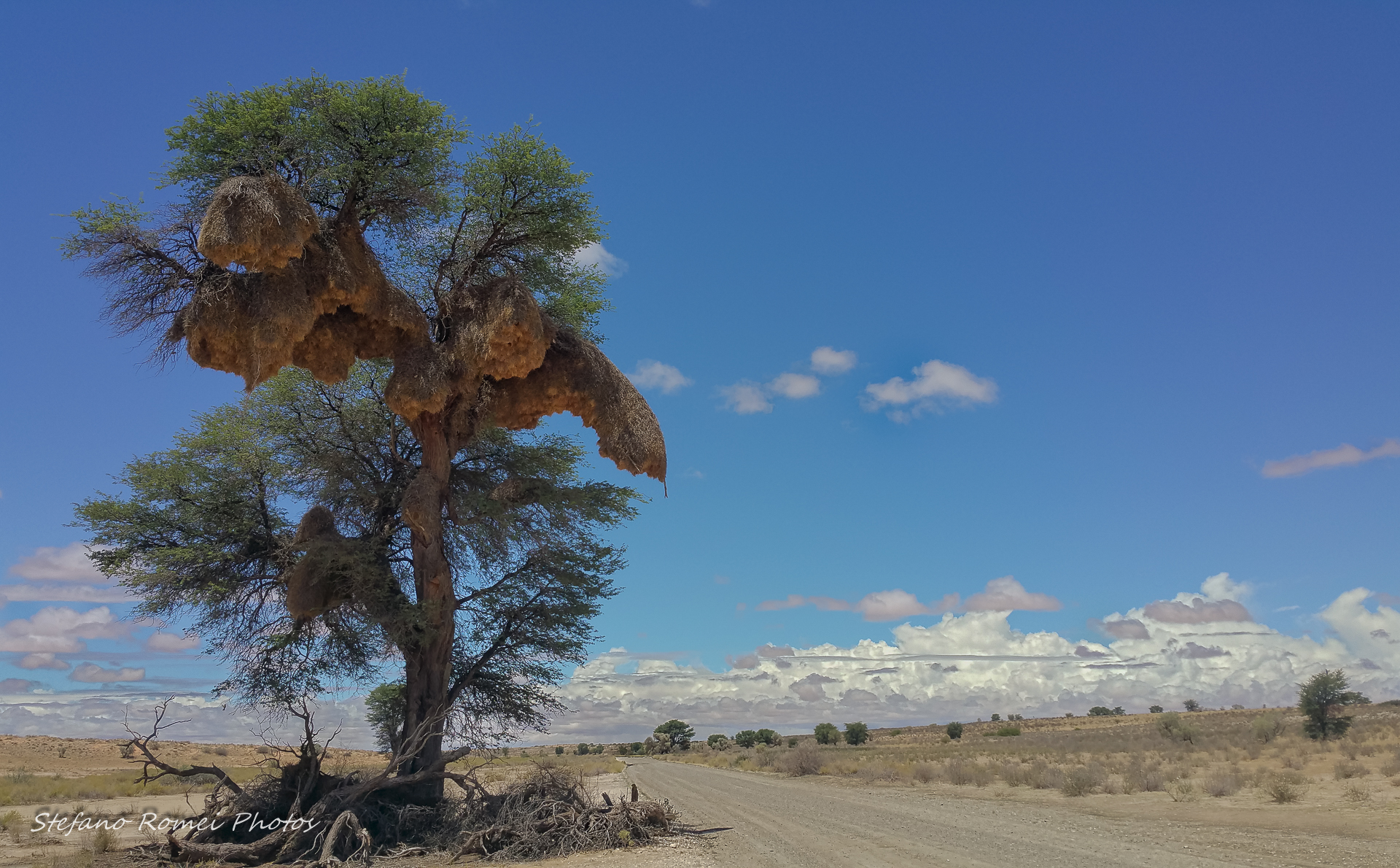 kalahari roads