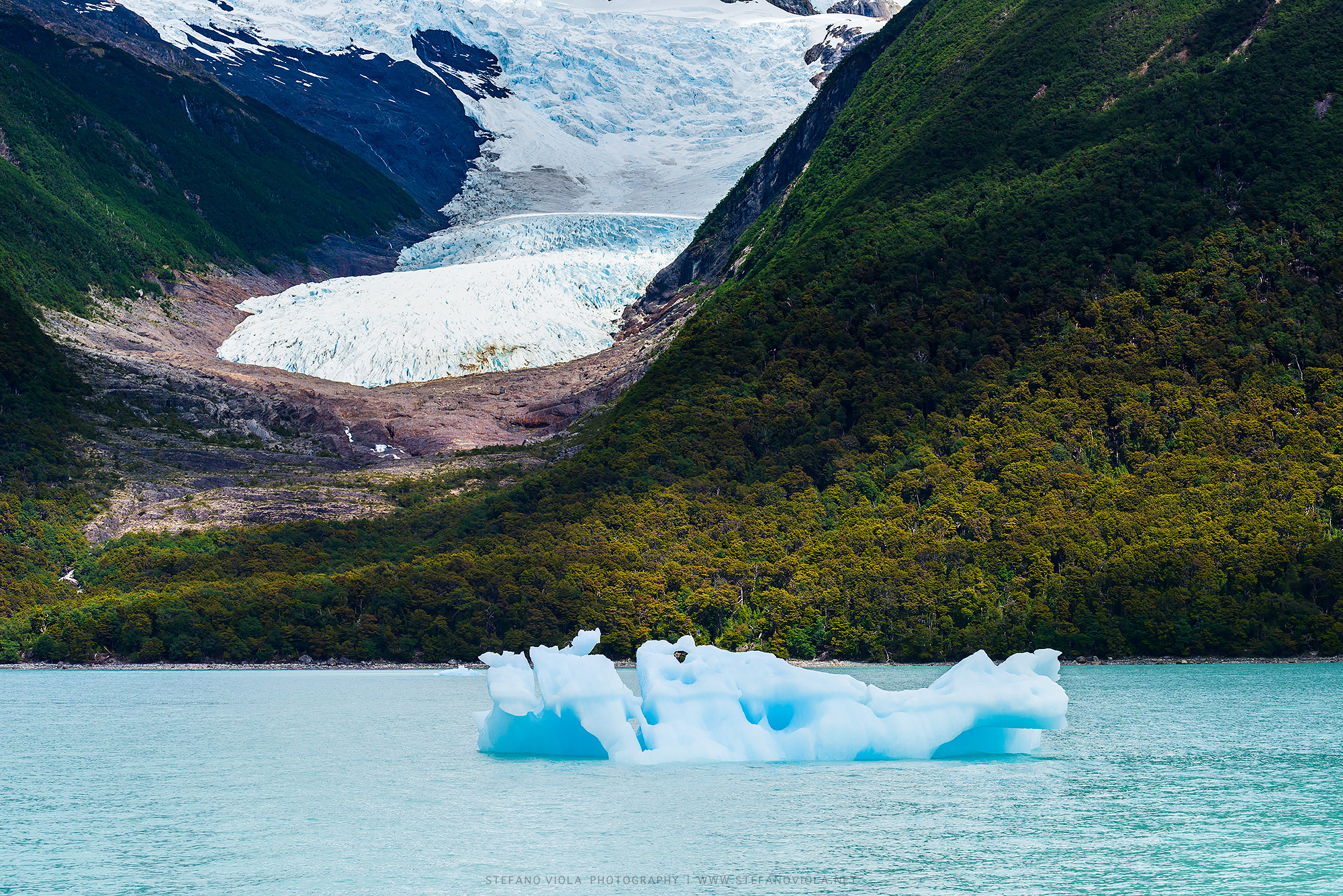 Among glaciers and forests