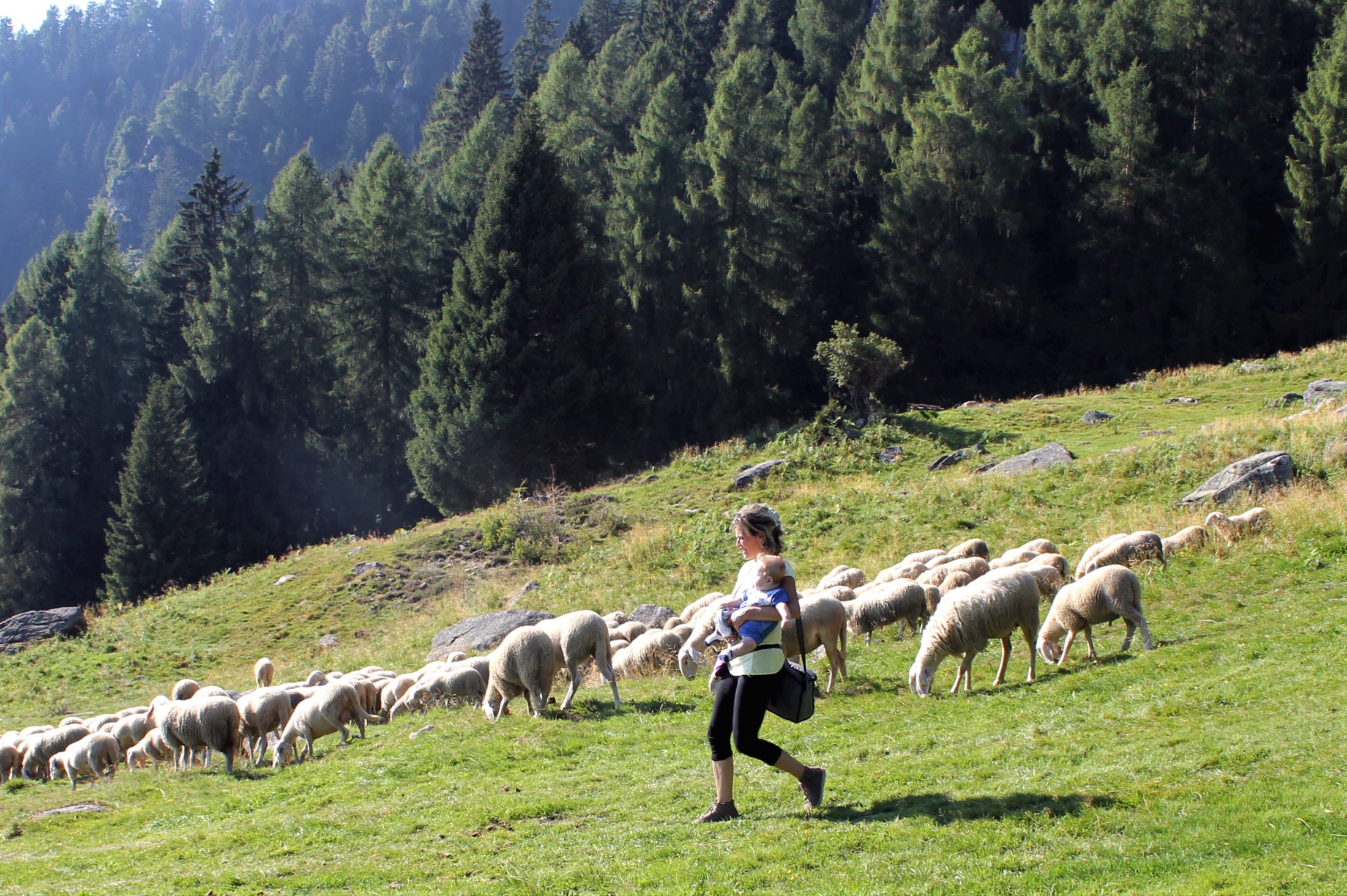 La pastorella e il suo agnellino