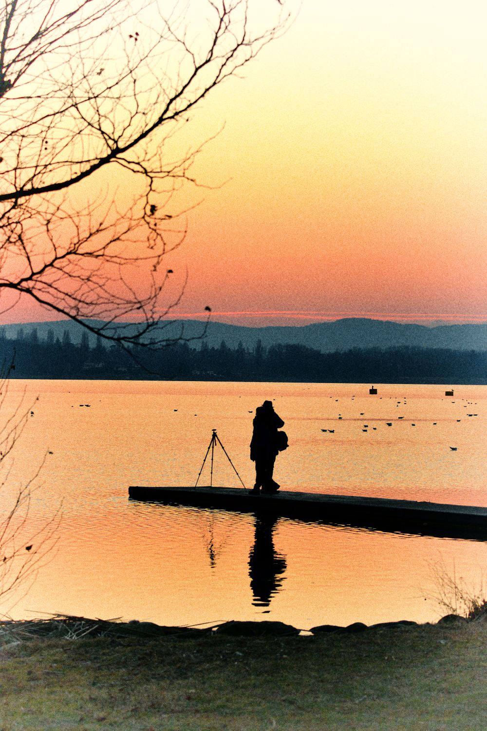 condividere la stessa passione