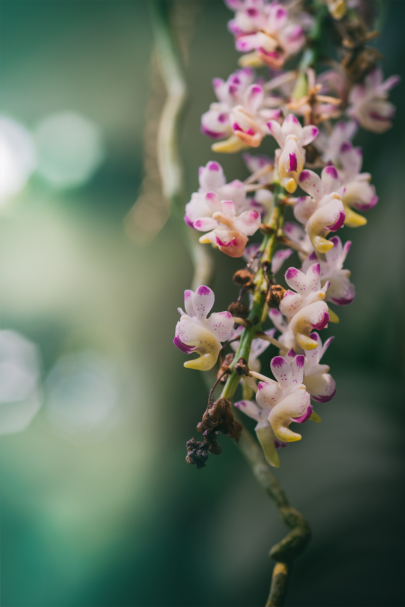 Between lights and shadows