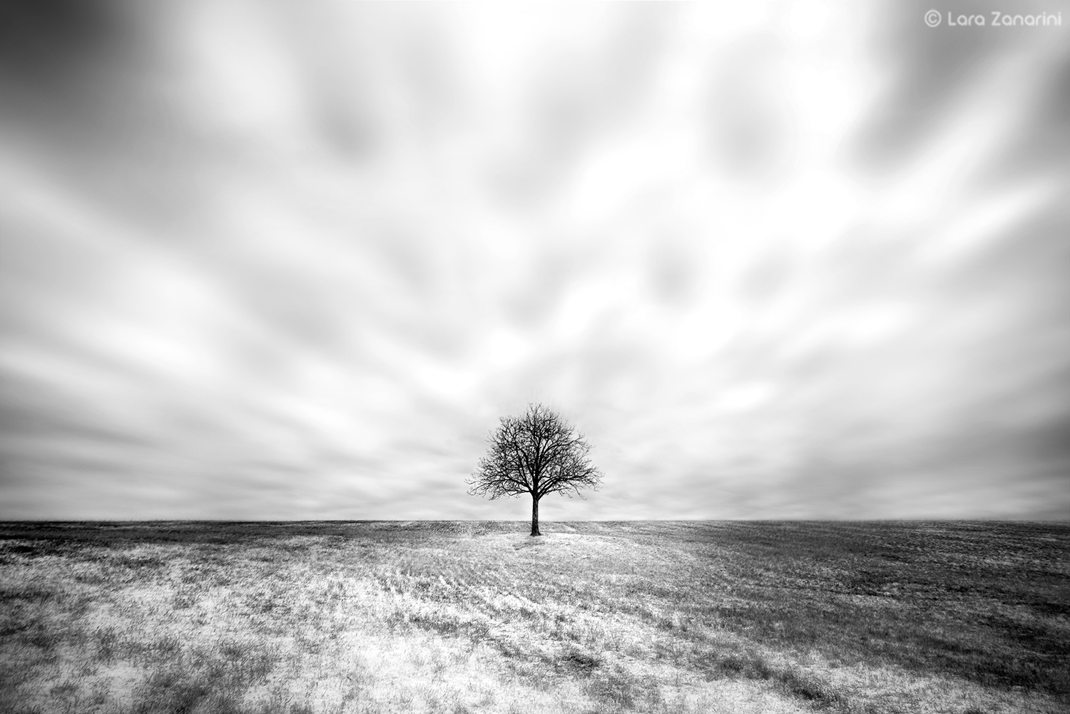 "Loneliness ... tremendous conviction or a wonderful co...