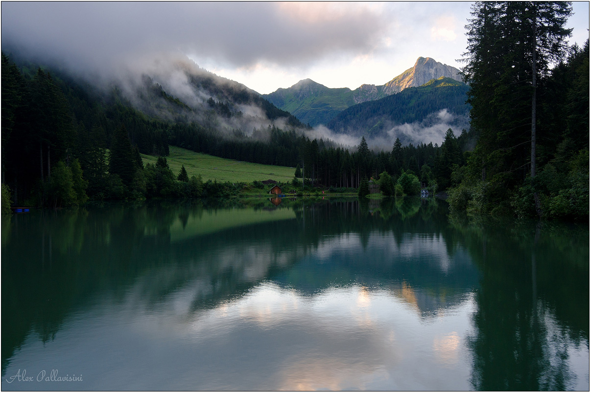 Quello che ti aspetti