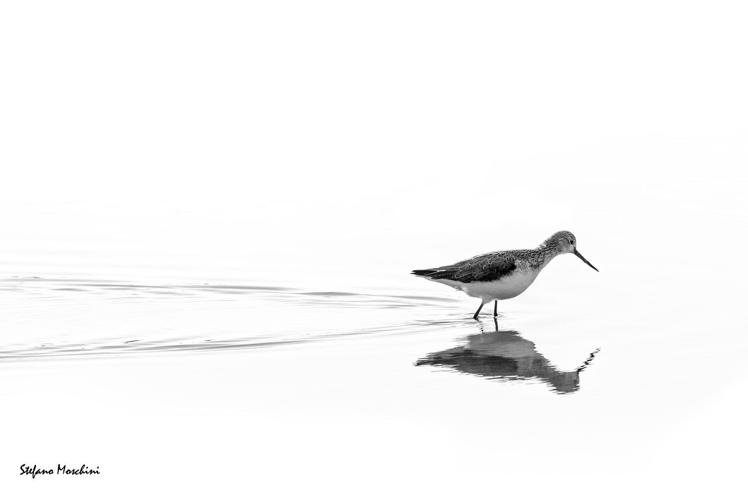 Porciglione high key