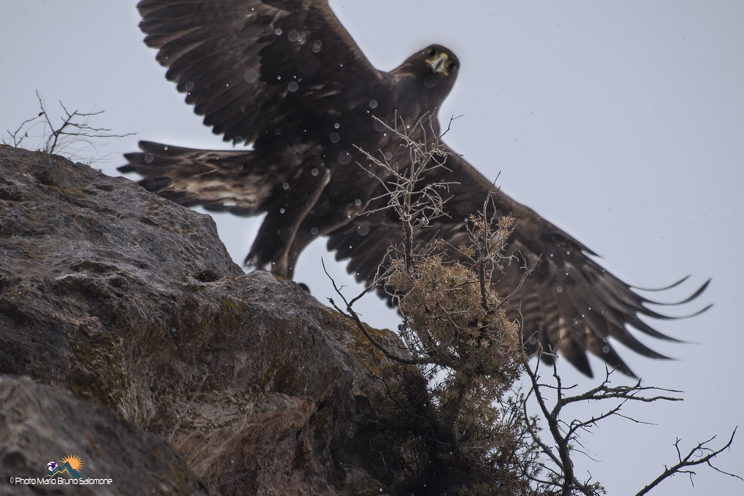 Lo stacco nella neve