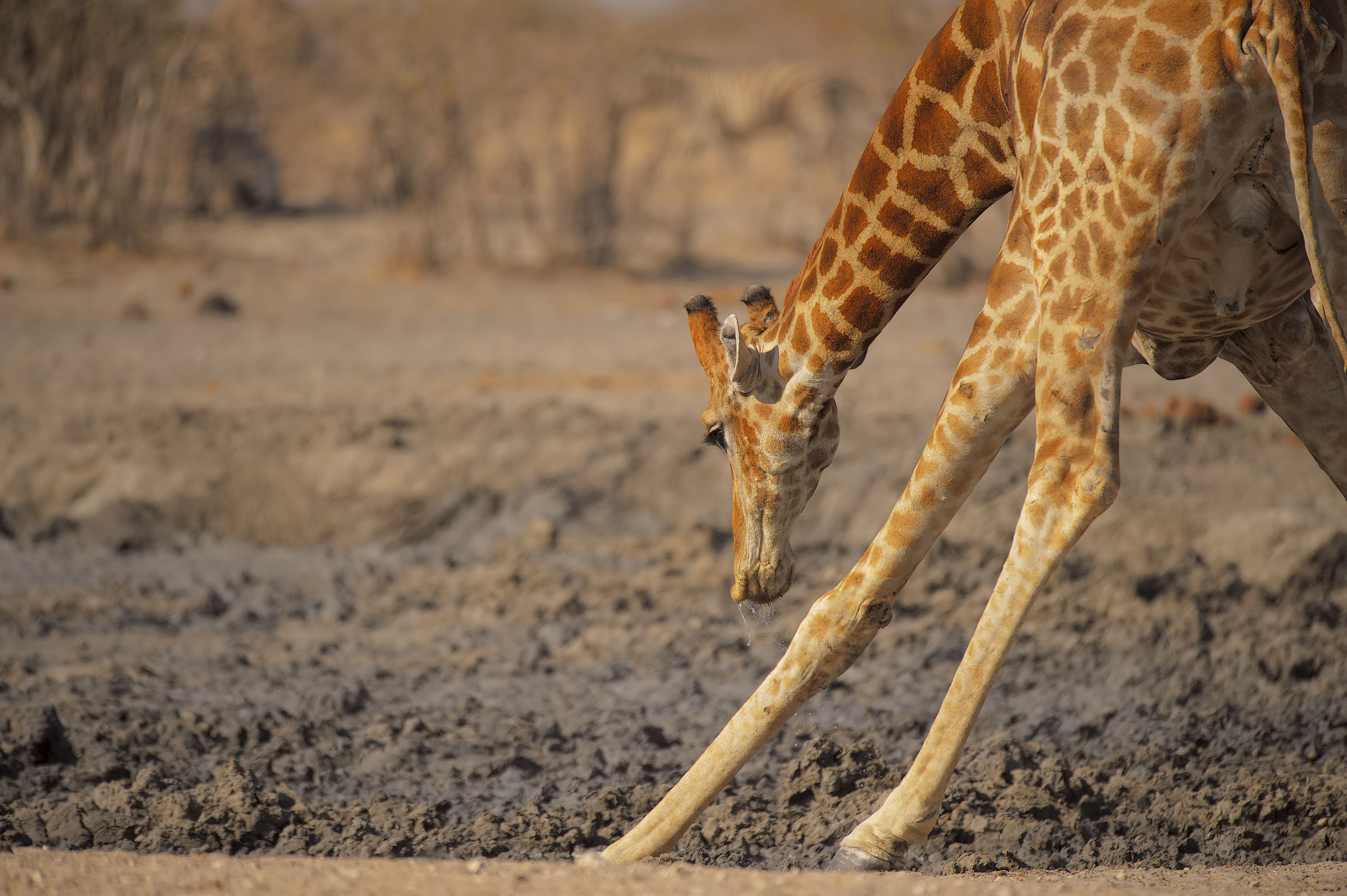 different perspectives