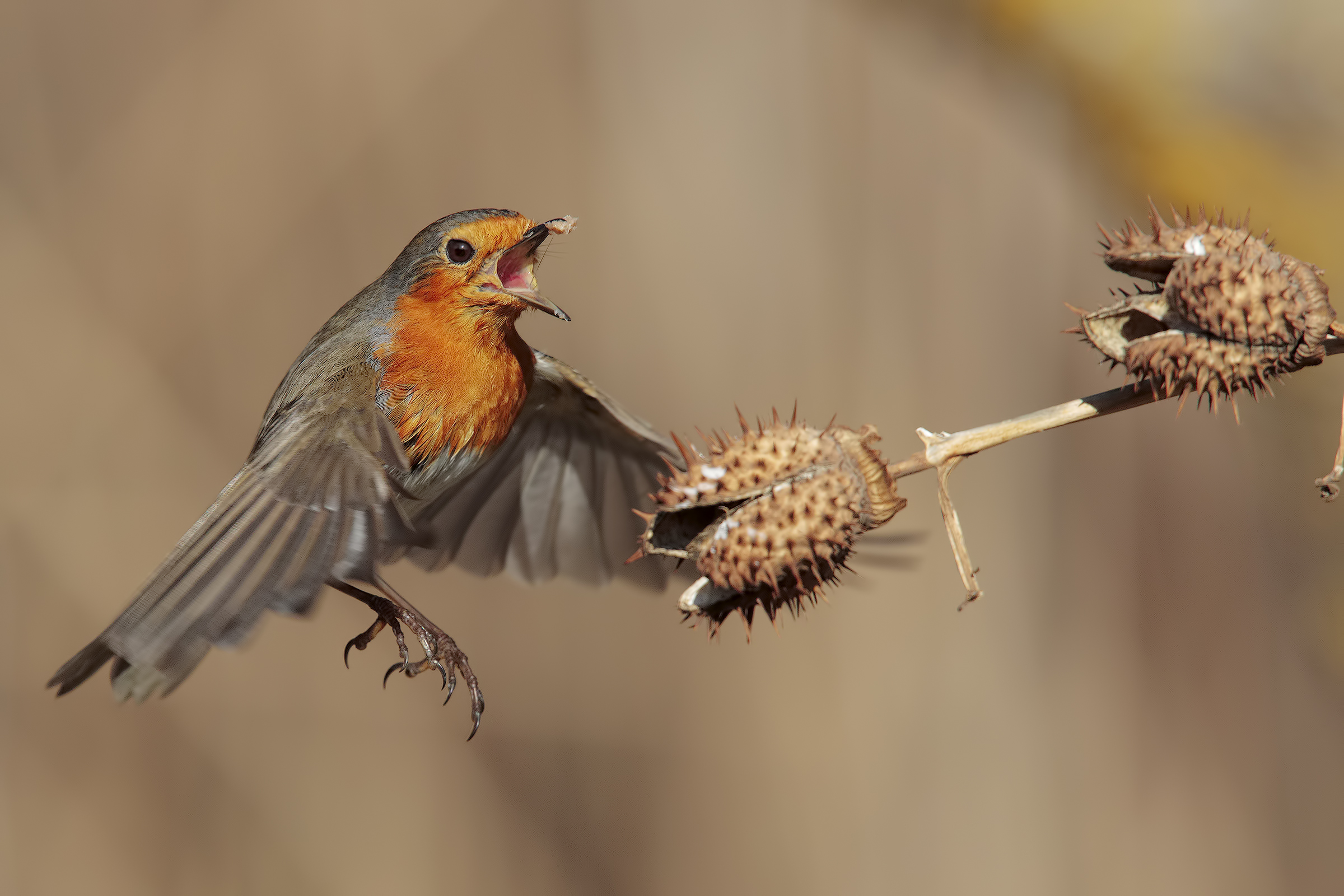 do not make me angry on petty ....