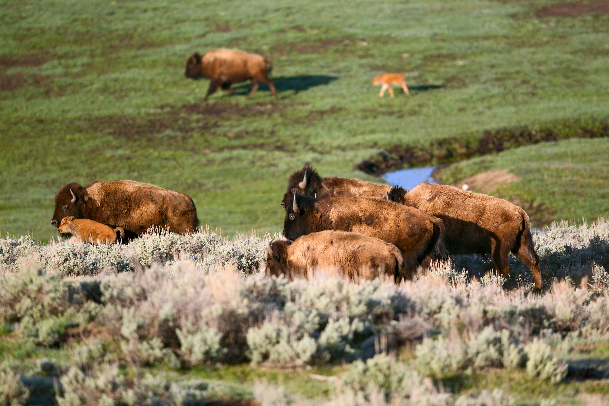 La primavera sta arrivando