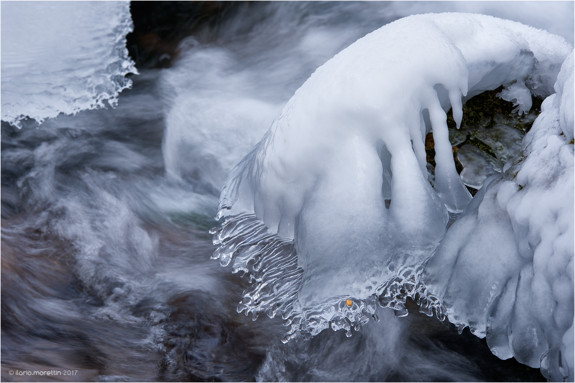 Io, un giorno crescerò... forse.
