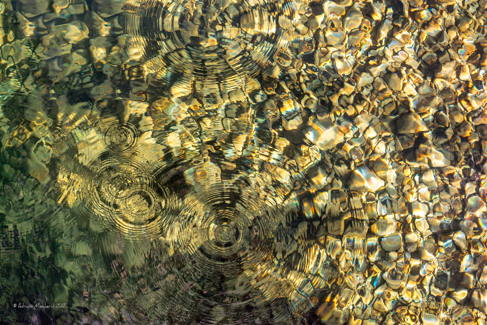 Circles in the water ....