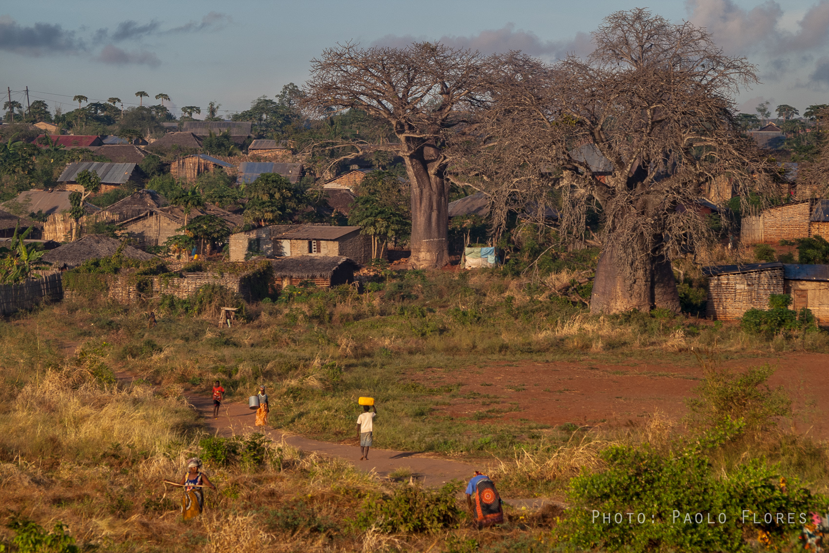 Villaggio dei Baobab