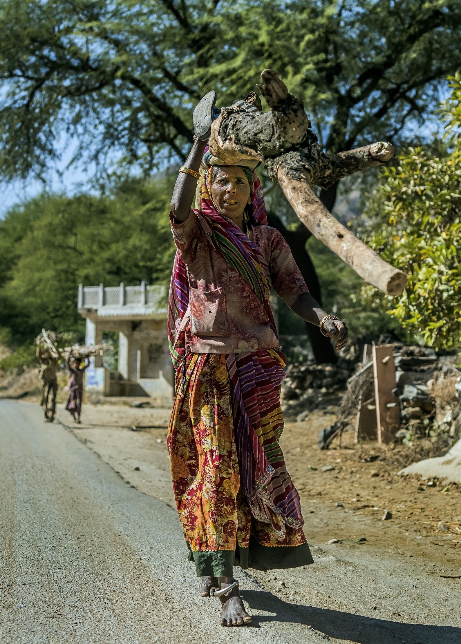 Rajasthan 2017 - Per la strada