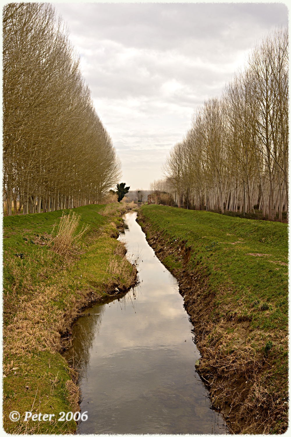 Viale con sentiero d'acqua