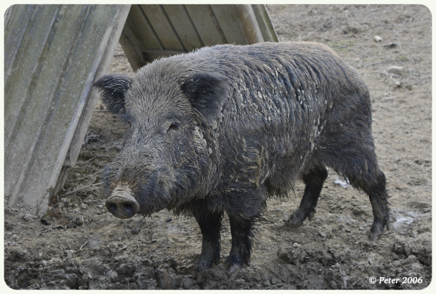 Il mio profilo migliore