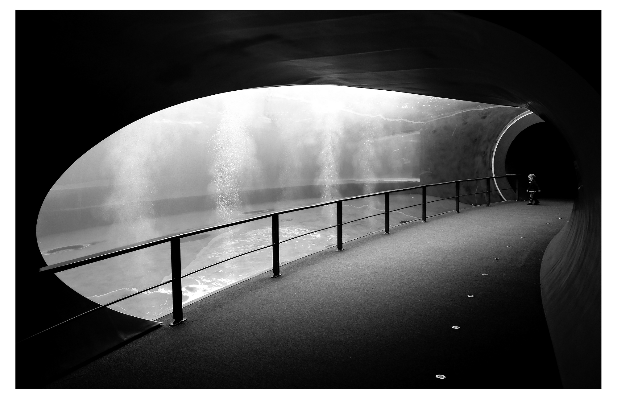 A piccoli passi nel nuovo mondo da esplorare