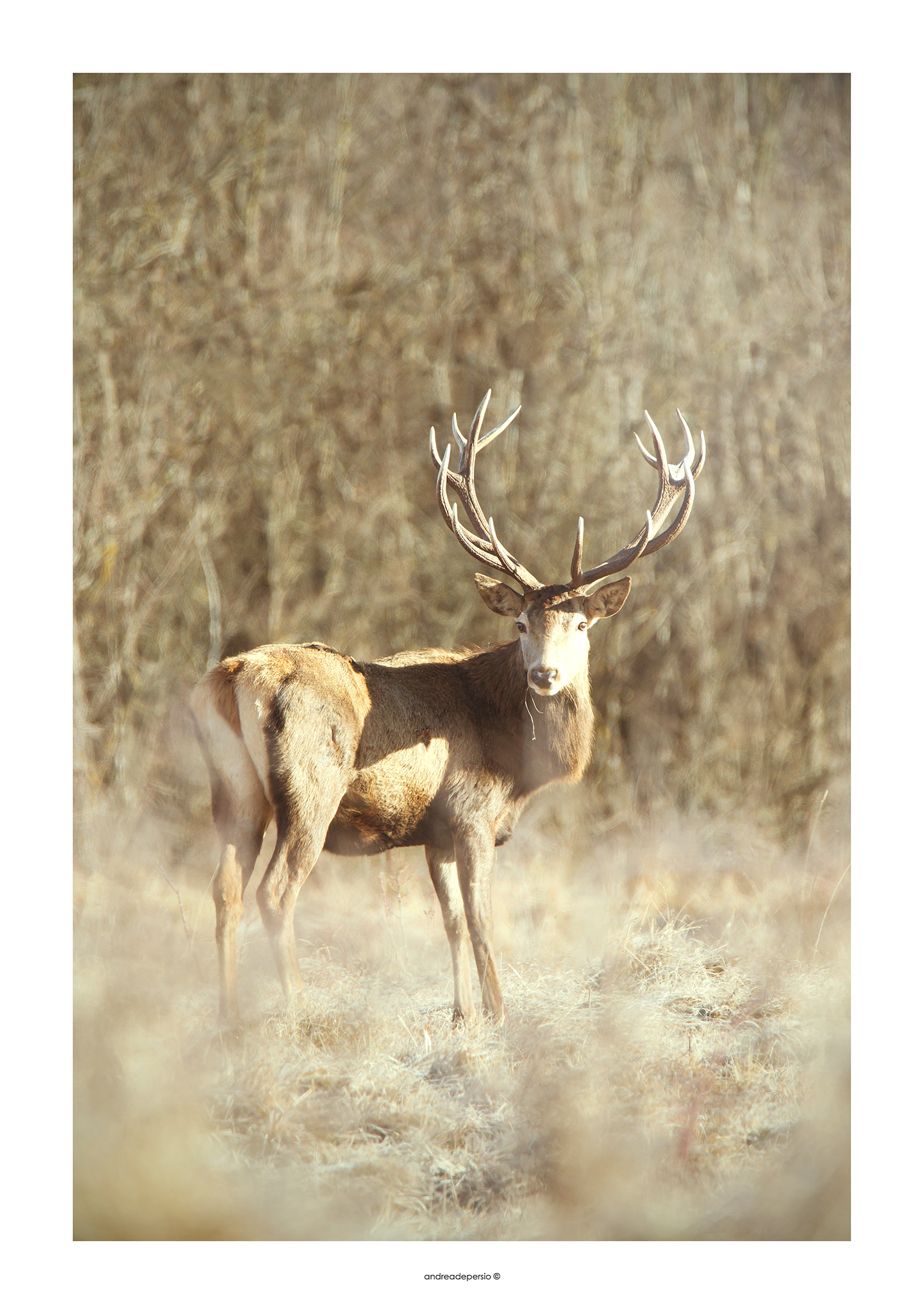 La bellezza della natura!