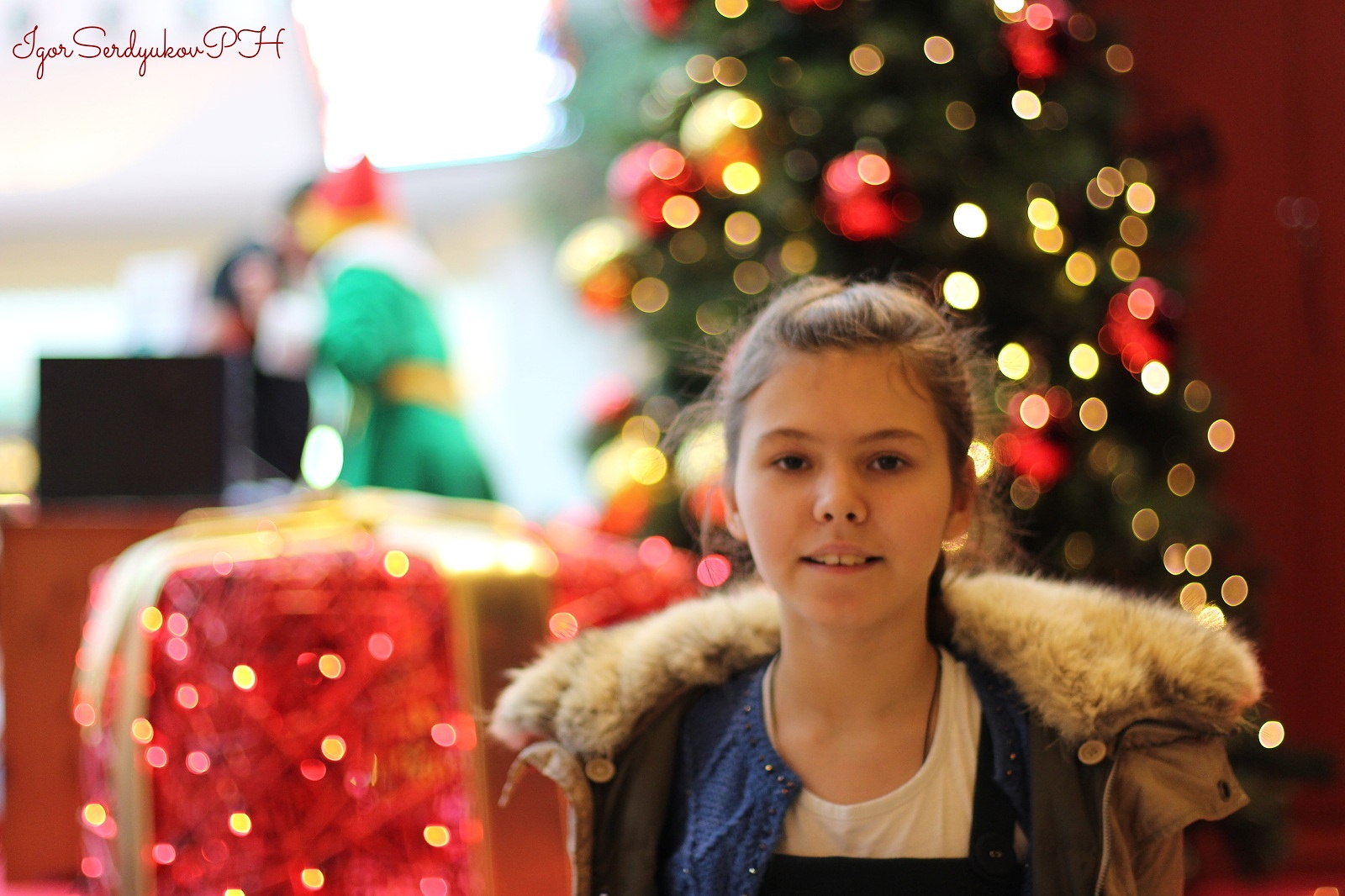 Christmas canon 50mm 1.4