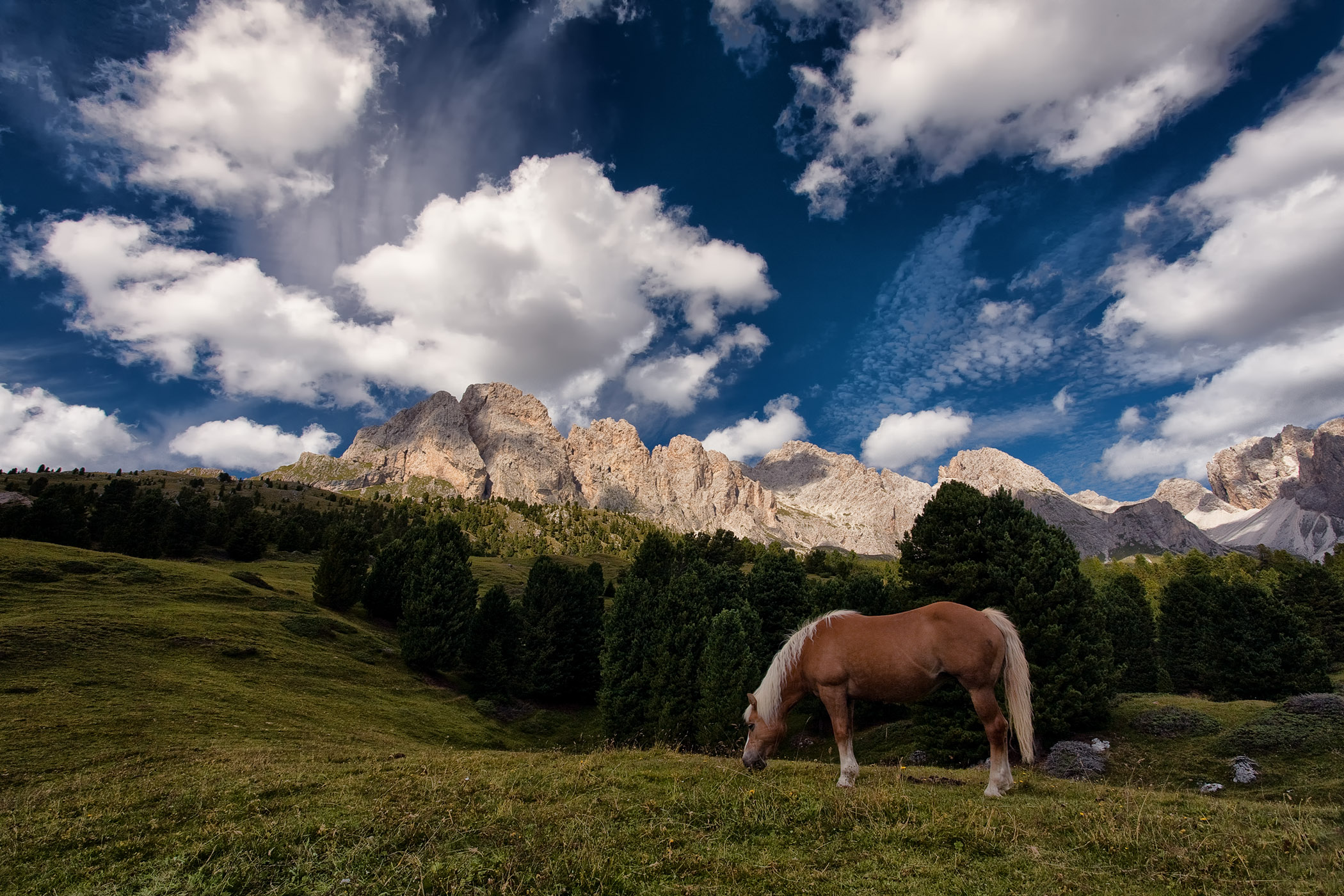 Where do you want to go today?