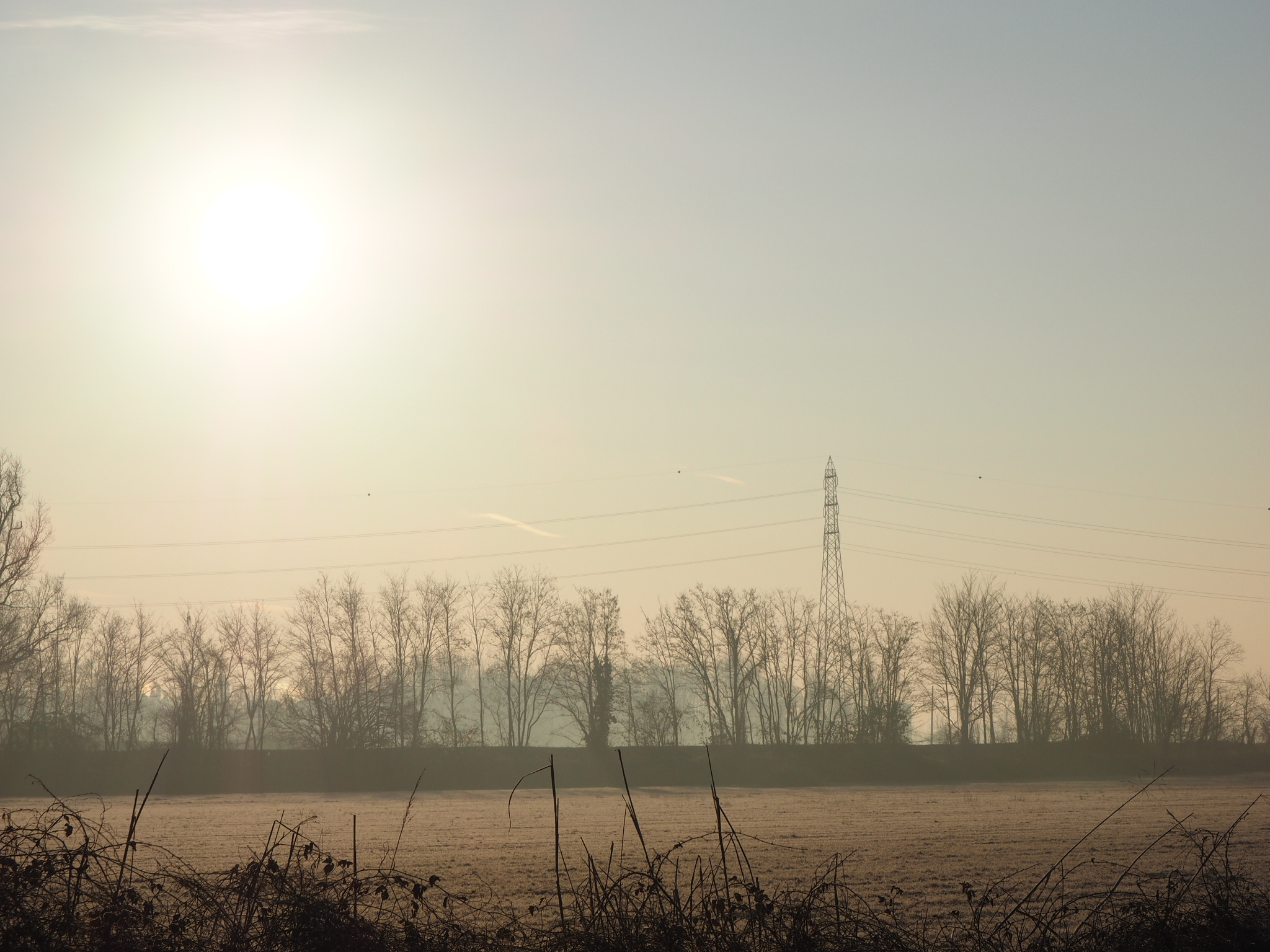 Il bello della foschia
