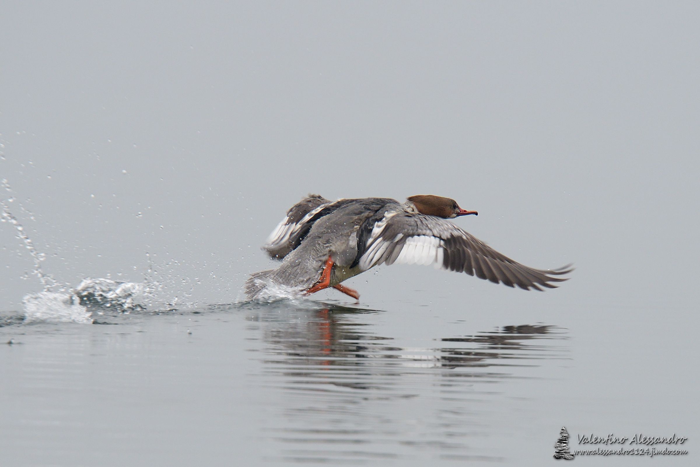 the seaplane takeoff