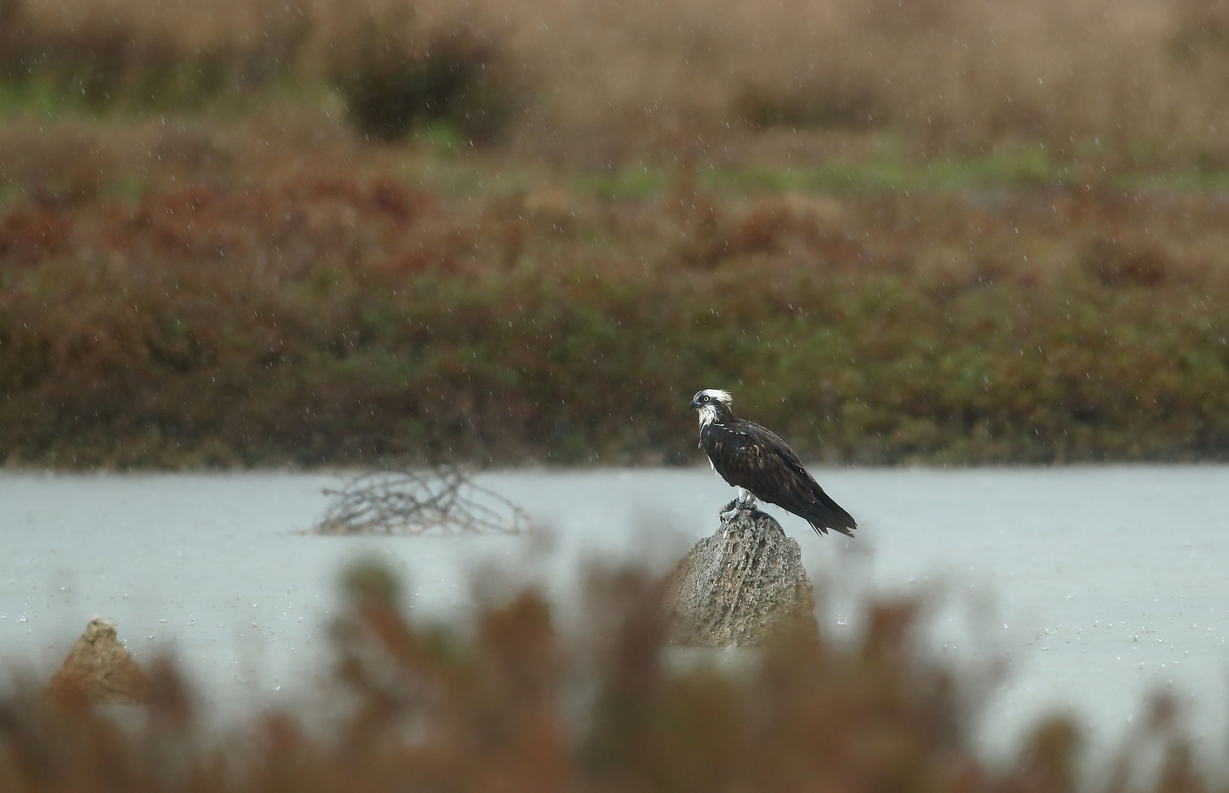 Pescatore ambientato