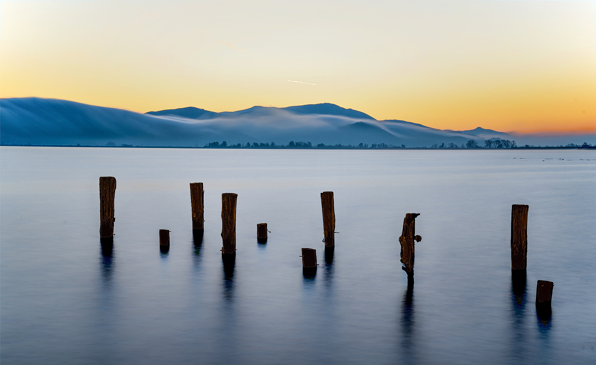 ero uscito in caccia di nebbia, ma.....
